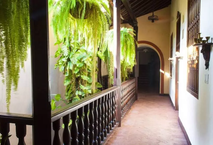 Fotos del hotel Boutique Casa Córdoba Estrella:  11