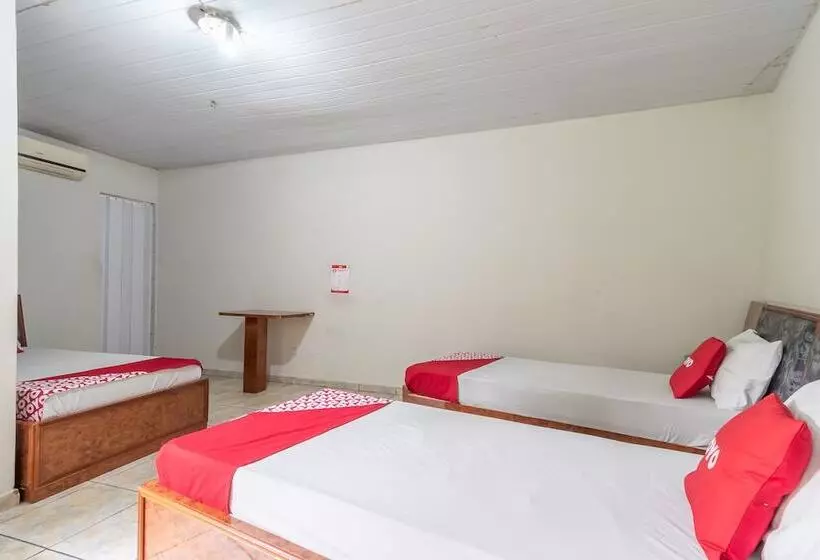 Fotos del hotel Dom Pedro:  7