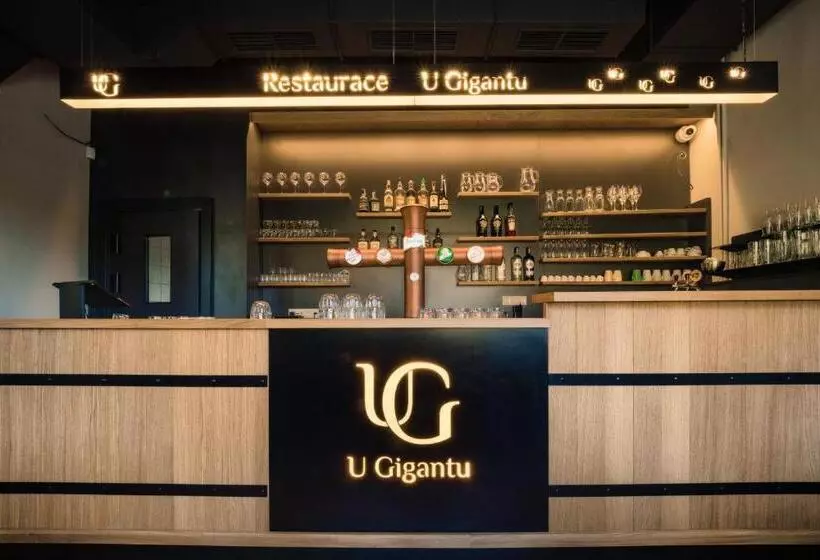 Fotos del hotel Penzion U Gigantu:  11