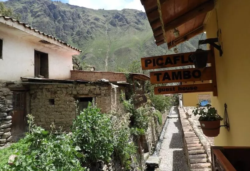 Fotos del hotel B&b Picaflor Tambo:  13