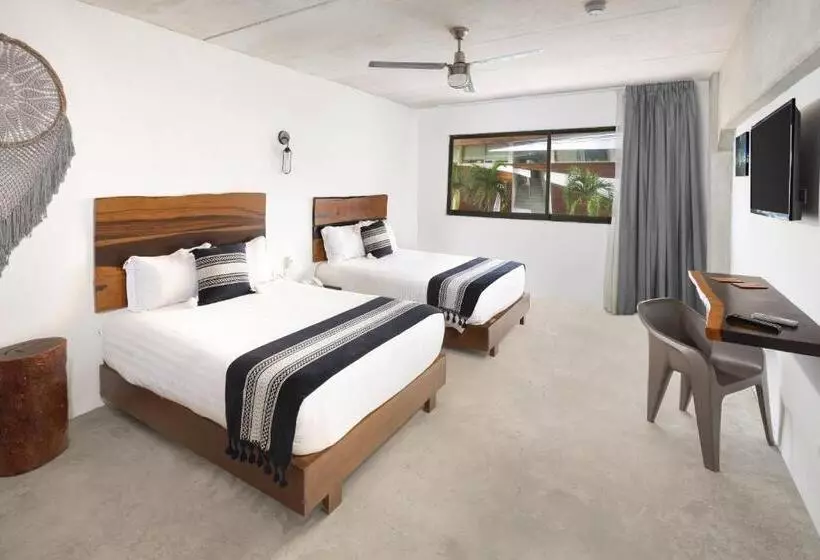 52 Playa Del Carmen
