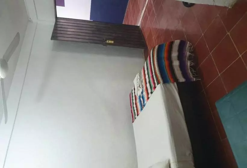 Fotos del hotel Colonial San Carlos:  15