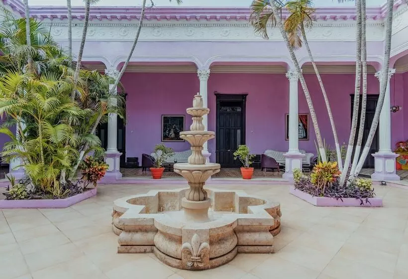 Fotos del hotel Boutique Mansion Lavanda:  5