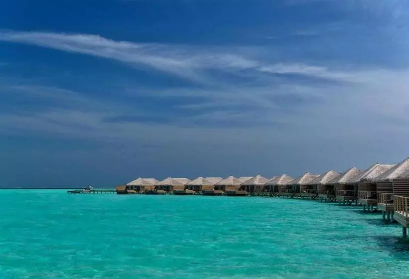 Fotos del hotel Cocoon Maldives All Inclusive:  8
