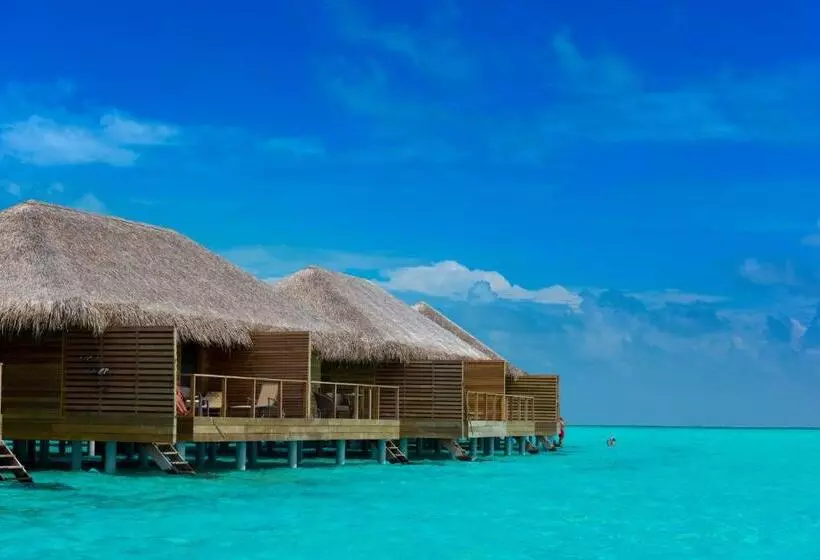 Fotos del hotel Cocoon Maldives All Inclusive:  18