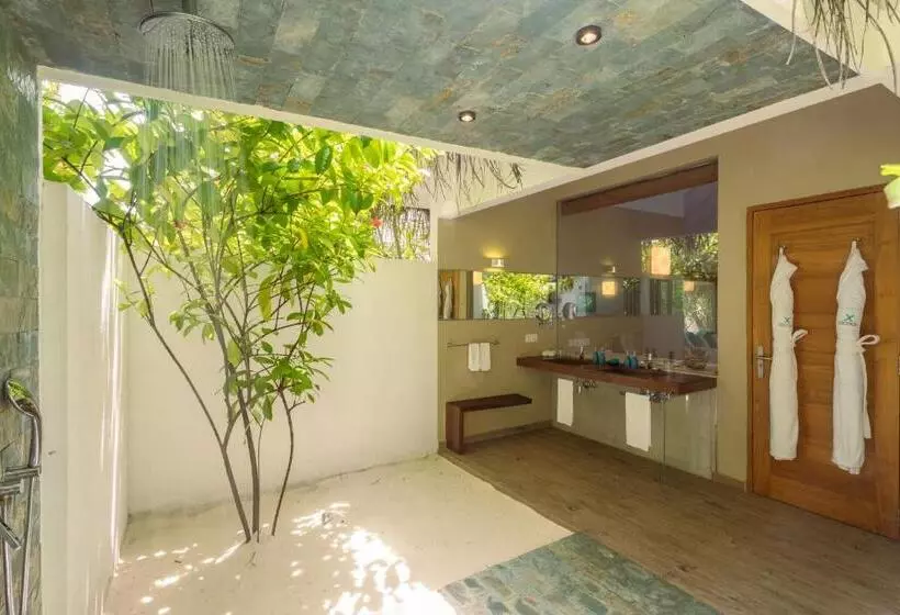 Fotos del hotel Cocoon Maldives All Inclusive:  24