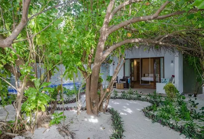 Fotos del hotel Cocoon Maldives All Inclusive:  12
