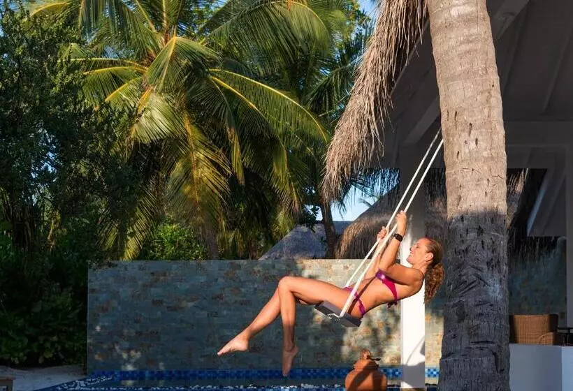 Fotos del hotel Cocoon Maldives All Inclusive:  7