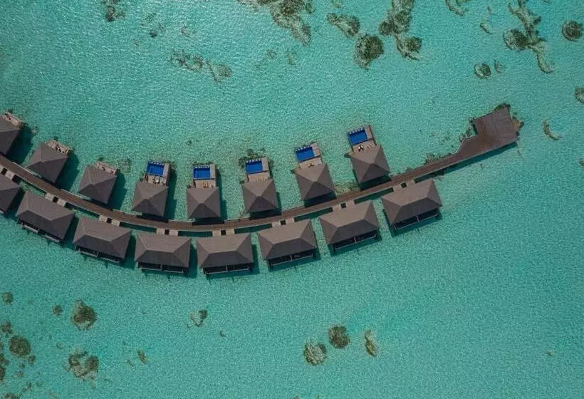 Fotos del hotel Cocoon Maldives All Inclusive:  22