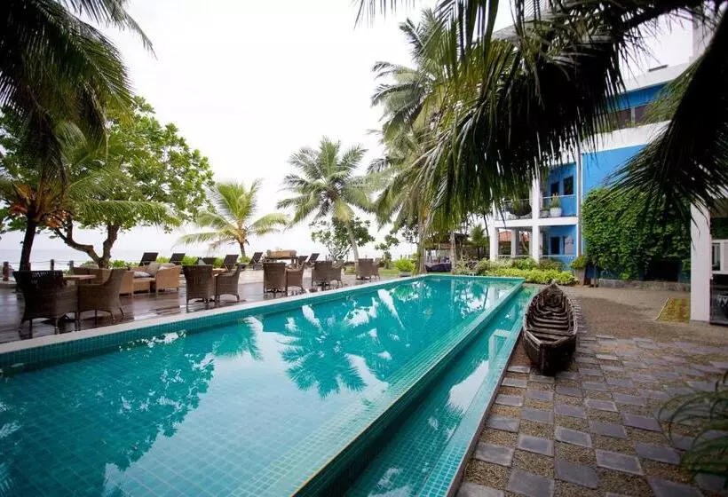 Fotos del hotel Owl And The Pussycat  & Restaurant:  3