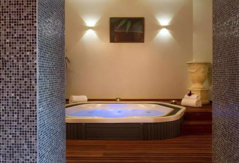 Fotos del hotel Hôtel Le Rive Droite & Spa:  3
