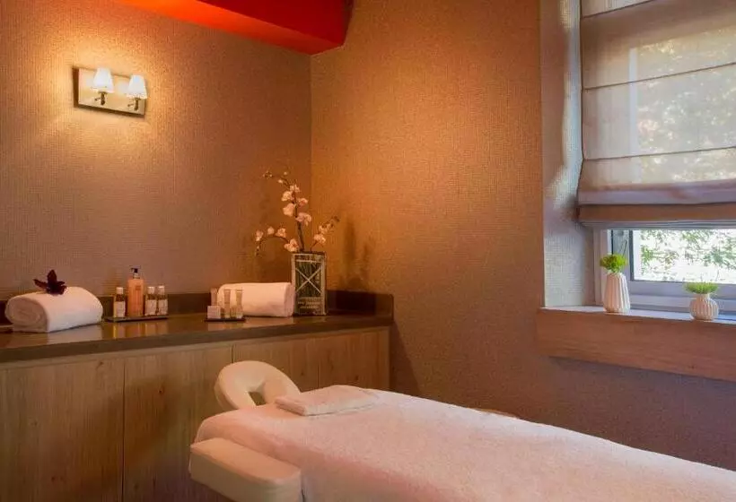 Fotos del hotel Hôtel Le Rive Droite & Spa:  7