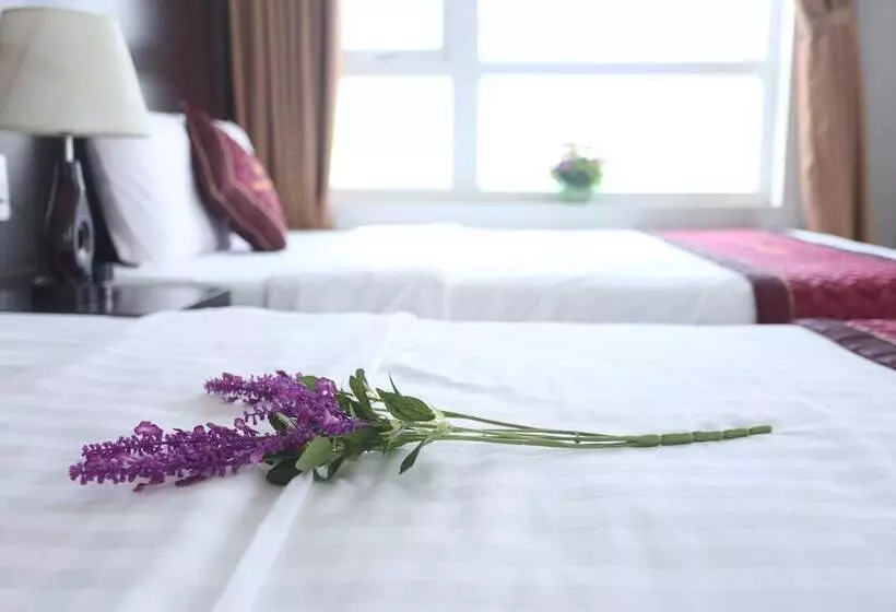 Fotos del hotel Huong Son Hotel Da Nang:  22