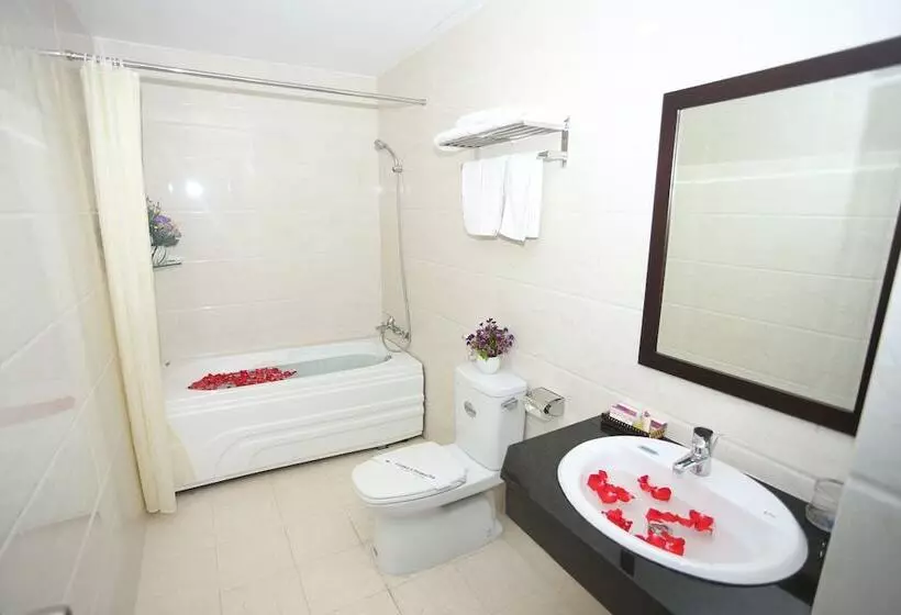 Fotos del hotel Huong Son Hotel Da Nang:  10