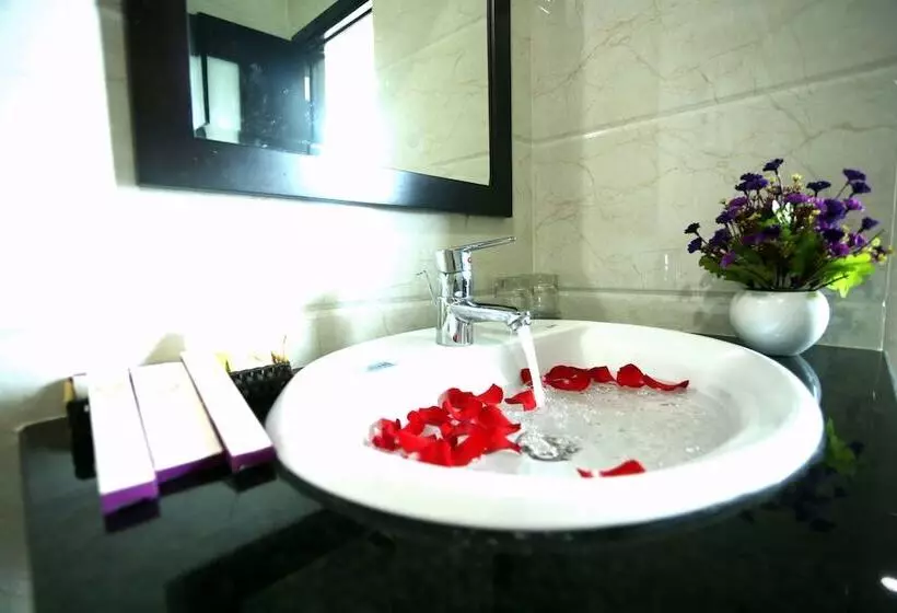 Fotos del hotel Huong Son Hotel Da Nang:  12