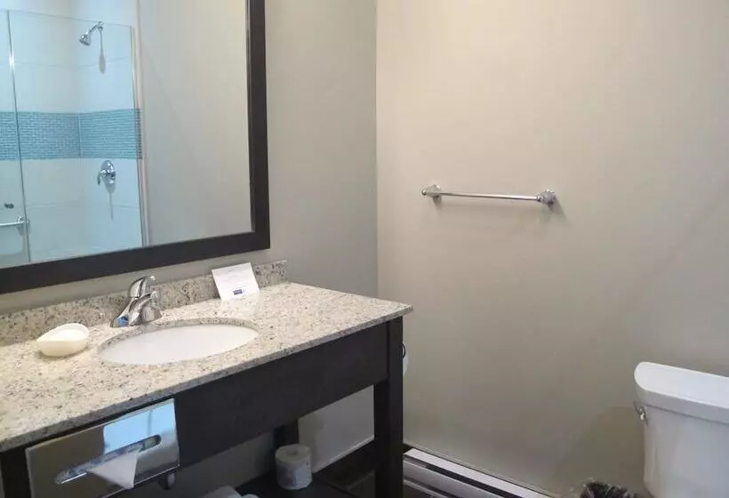 Fotos del hotel Best Western Plus  Montreal:  8
