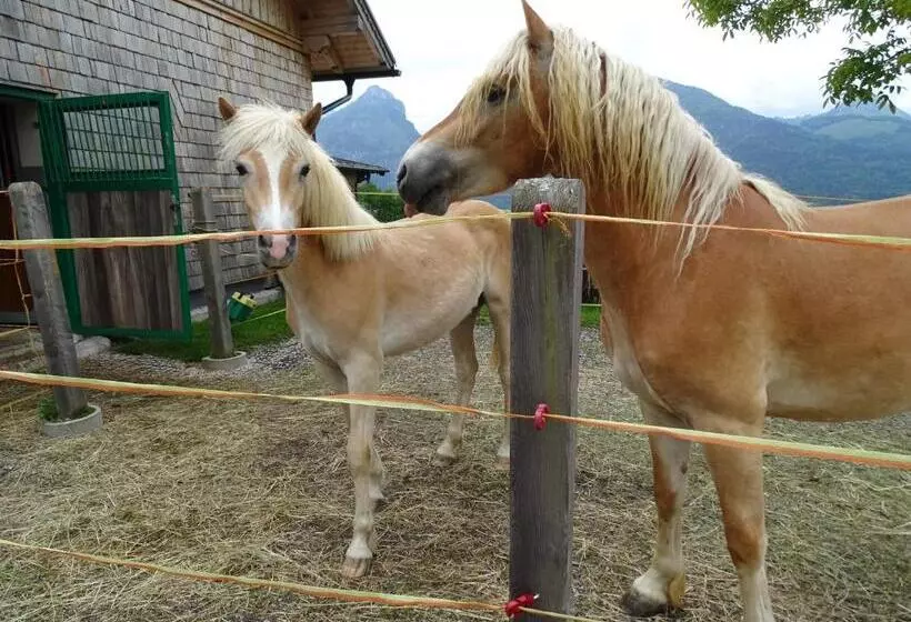 Fotos del hotel Altroiterhof:  6