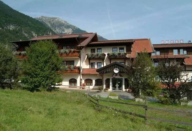 Fotos del hotel Alpen Adria  & Spa:  2