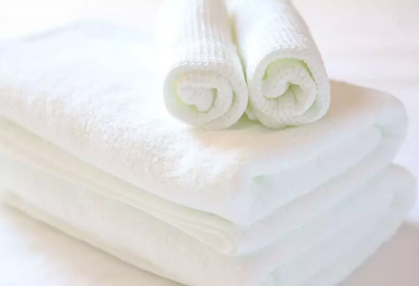 Fotos del hotel Urbain Kyoto Kawaramachidori:  10