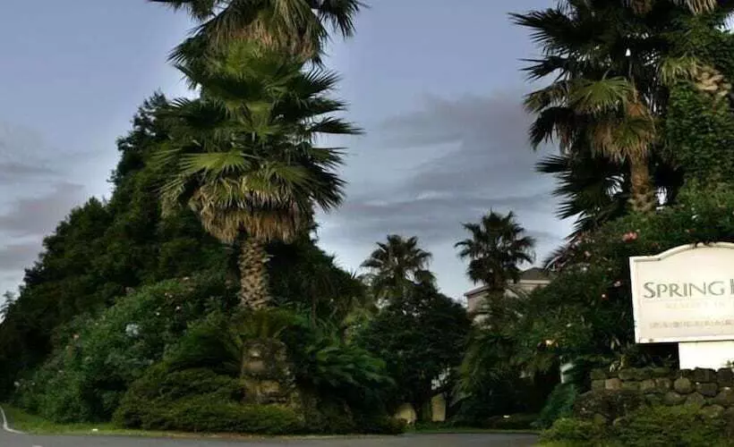 Fotos del hotel Springhill Resort:  20