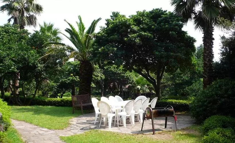 Fotos del hotel Springhill Resort:  8