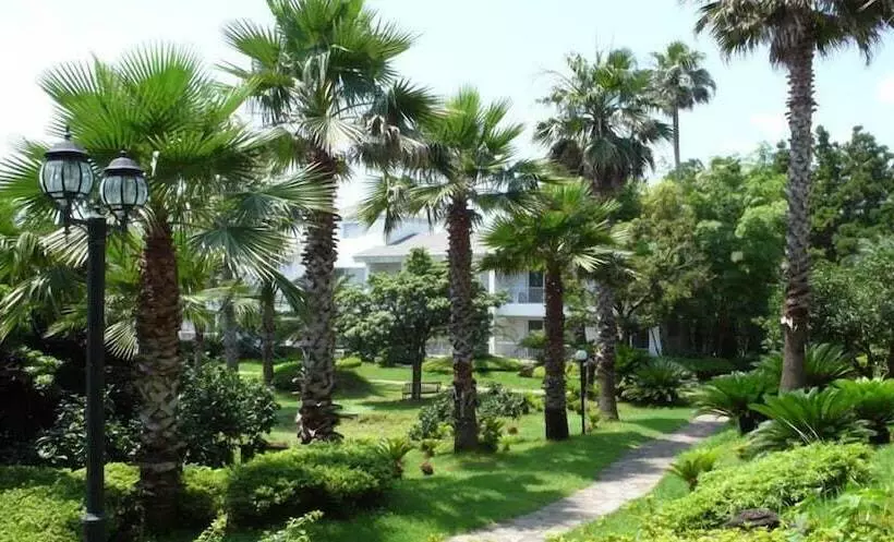 Fotos del hotel Springhill Resort:  25