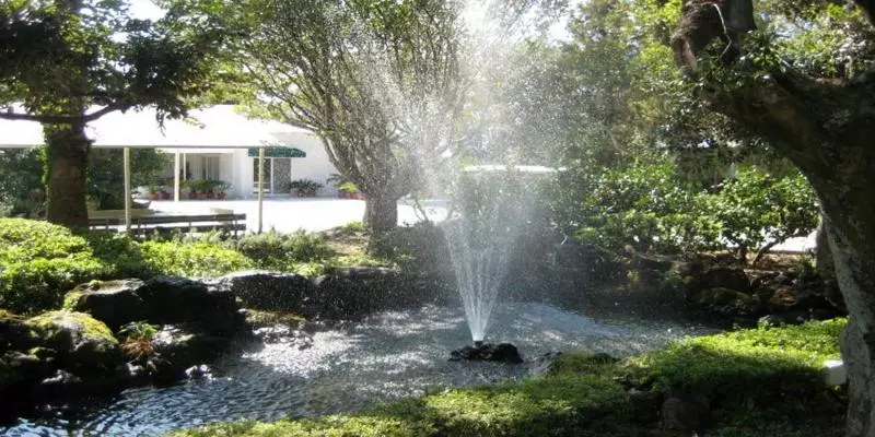 Fotos del hotel Springhill Resort:  3