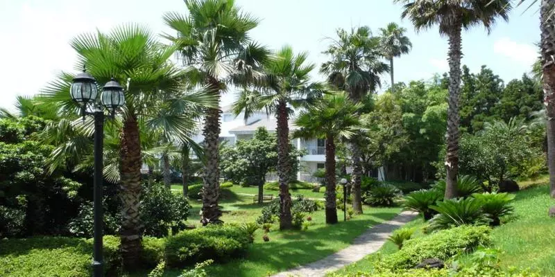 Fotos del hotel Springhill Resort:  24