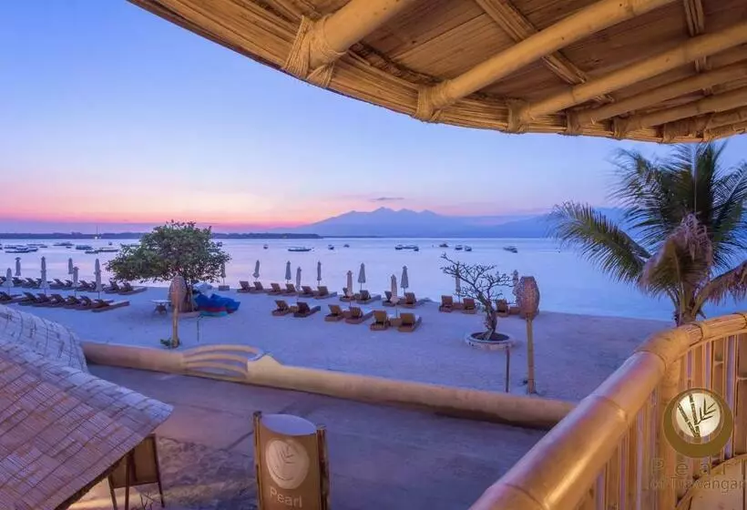 Fotos del hotel Pearl Of Trawangan:  16