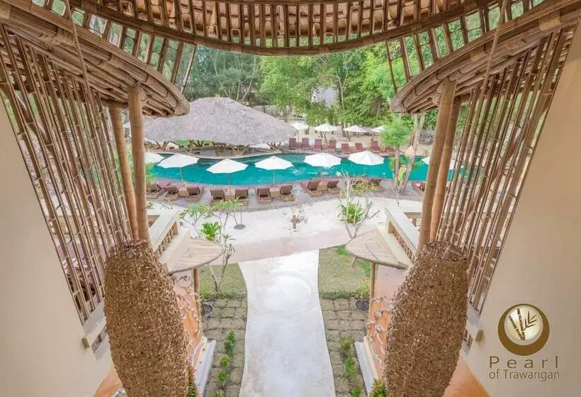 Fotos del hotel Pearl Of Trawangan:  22