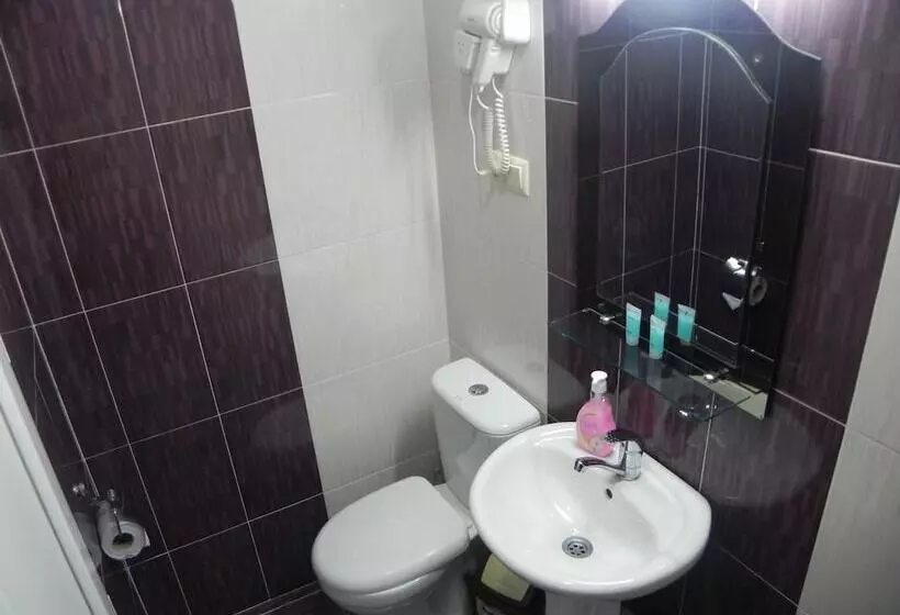 Fotos del hotel Leon:  19