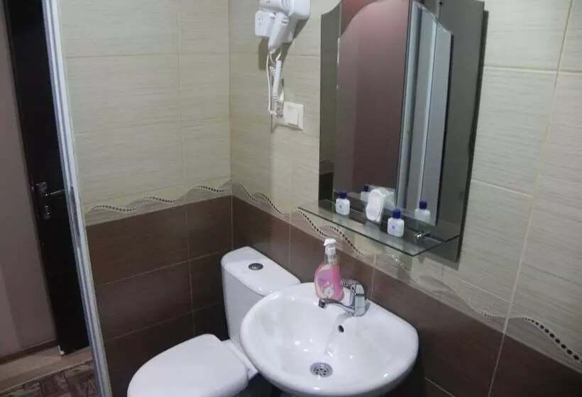 Fotos del hotel Leon:  12