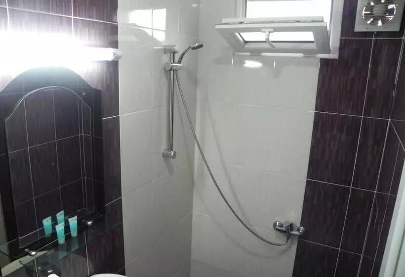 Fotos del hotel Leon:  8