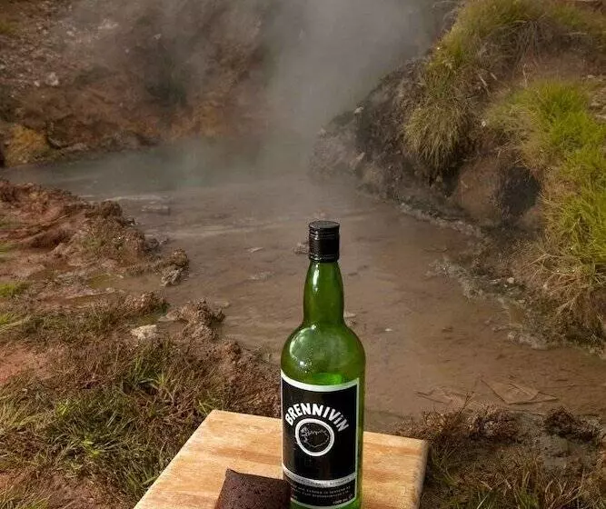 Fotos del hotel Geysir:  13
