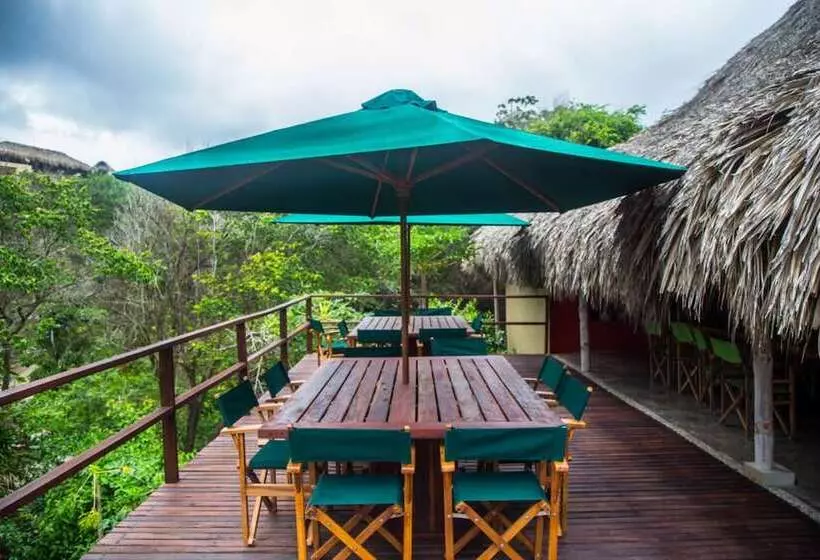 Fotos del hotel Finca Barlovento Maloka & Cabaña:  8