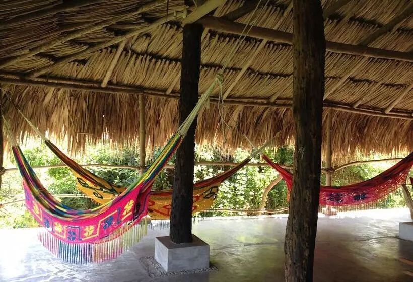 Fotos del hotel Finca Barlovento Maloka & Cabaña:  10