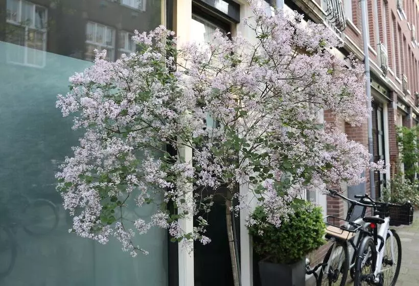 Fotos del hotel Adriaen Van Ostade Luxury B&b:  12