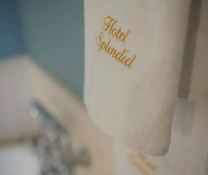 Fotos del hotel Splendid 1900:  9