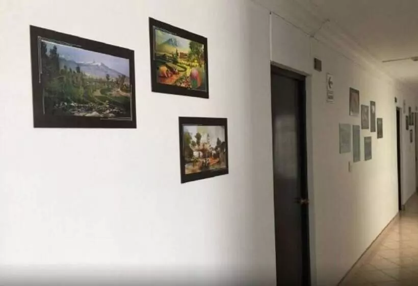 Fotos del hotel Ayenda Del Sur:  2