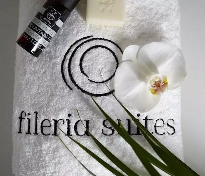 Fotos del hotel Fileria Suites:  12