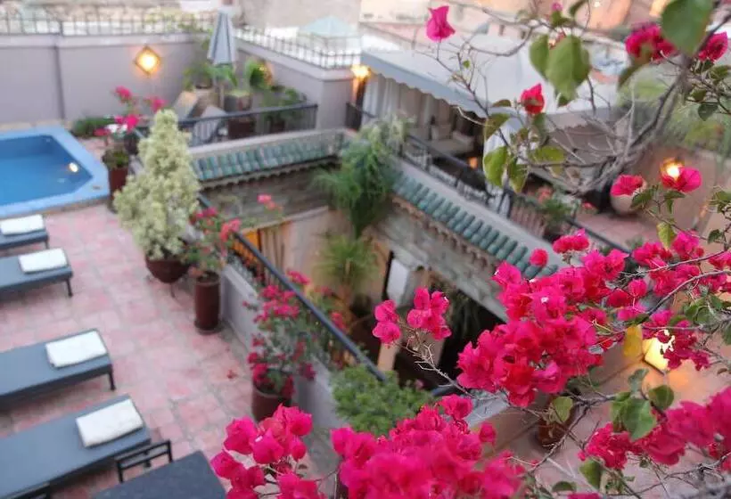 Fotos del hotel Riad Terra Bahia:  5