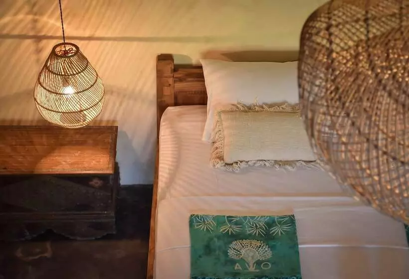 Fotos del hotel Owa Lodge:  18