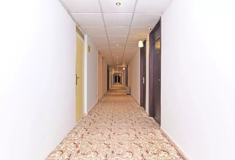 Fotos del hotel Capital O 419 Al Safeer:  12