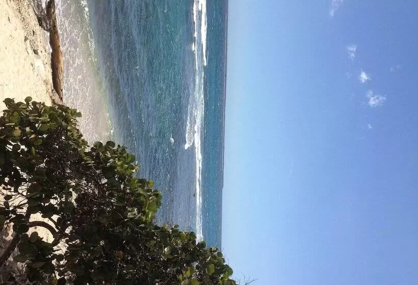 Fotos del hotel Sol Azul:  8