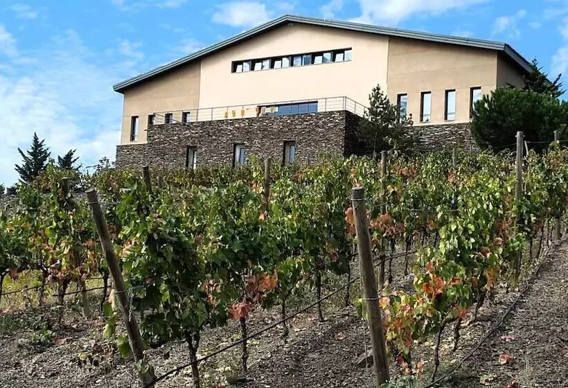 Fotos del hotel -celler Buil & Gine:  13