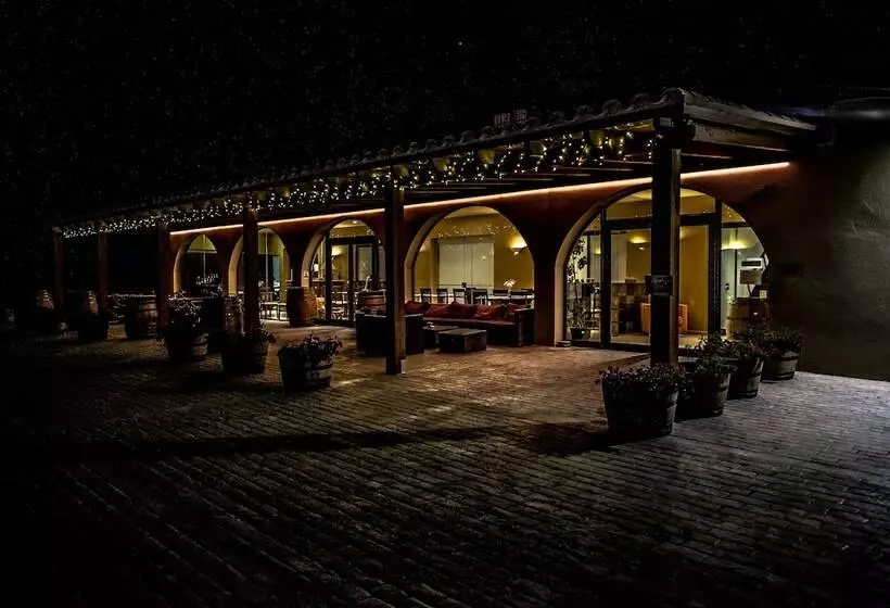 Fotos del hotel -celler Buil & Gine:  15