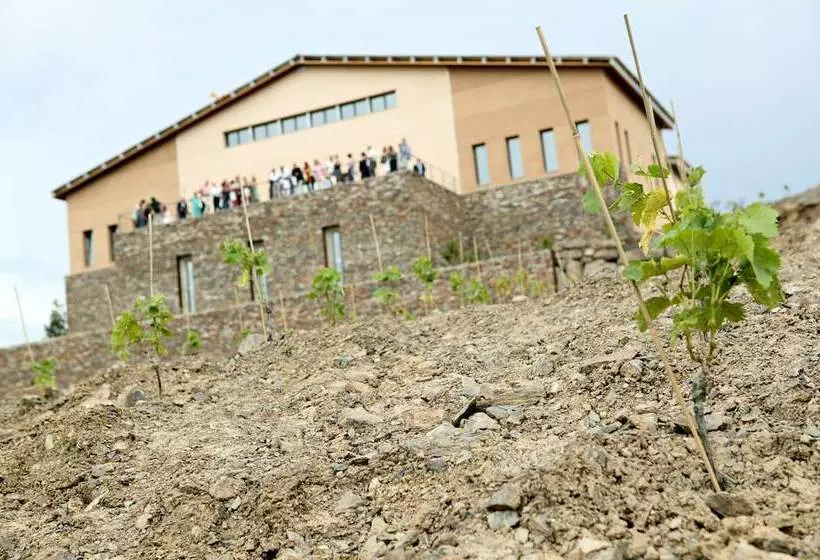 Fotos del hotel -celler Buil & Gine:  12