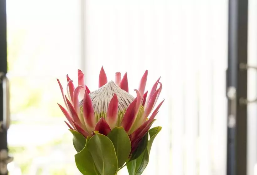 Fotos del hotel Thebloem Guest Suites:  15