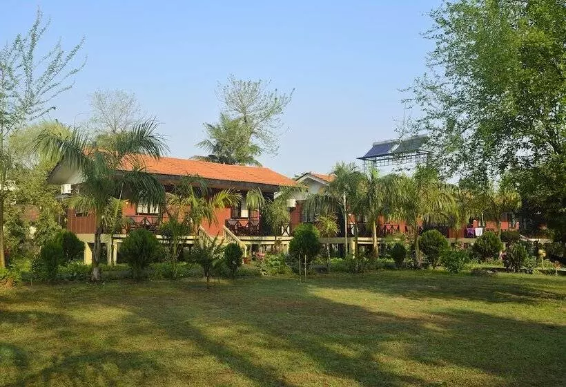 Fotos del hotel Jungle World Resort:  4