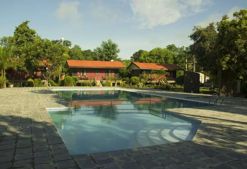 Fotos del hotel Jungle World Resort:  9